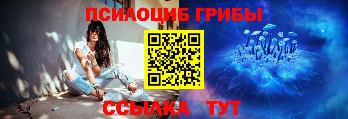 Галлюциногенные грибы Magic Shrooms  Псилоцибиновые грибы GOLDEN TEACHER  Северск  Вход с VPN 
